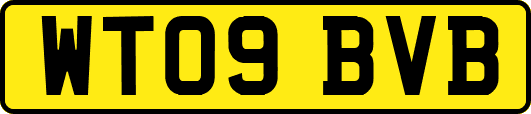 WT09BVB