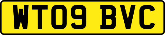 WT09BVC