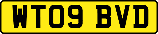 WT09BVD