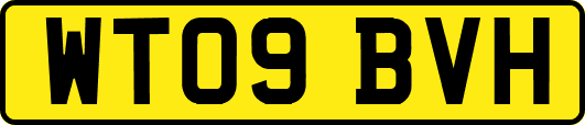 WT09BVH