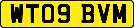 WT09BVM