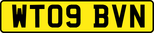 WT09BVN