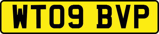 WT09BVP