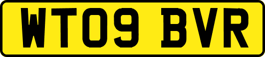 WT09BVR
