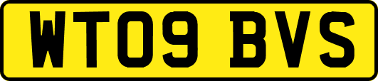 WT09BVS