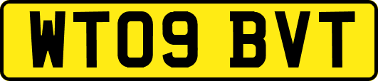 WT09BVT