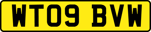WT09BVW