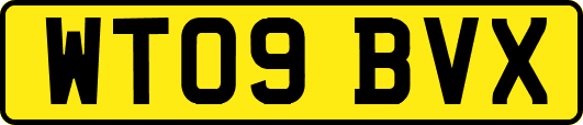 WT09BVX