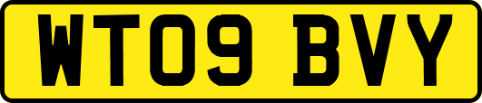 WT09BVY
