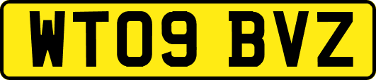WT09BVZ