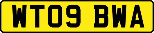 WT09BWA