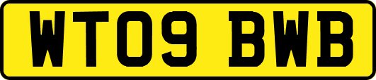 WT09BWB