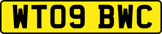 WT09BWC