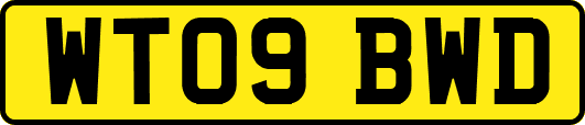 WT09BWD