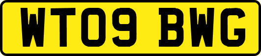 WT09BWG