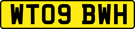 WT09BWH