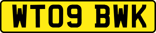WT09BWK