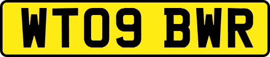 WT09BWR