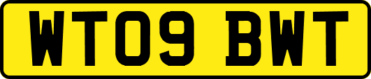 WT09BWT