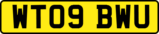 WT09BWU