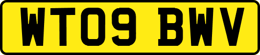 WT09BWV