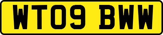 WT09BWW