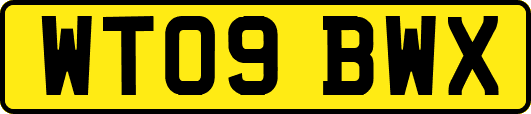 WT09BWX