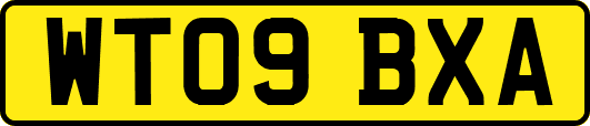WT09BXA