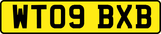 WT09BXB