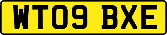WT09BXE