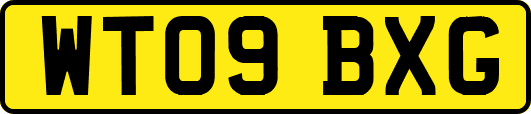 WT09BXG