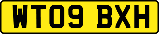 WT09BXH