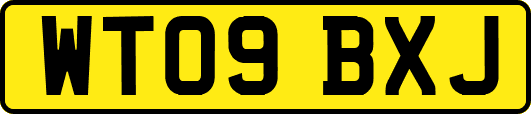 WT09BXJ