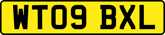 WT09BXL