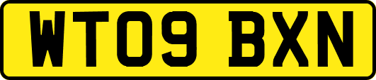WT09BXN