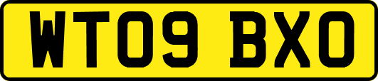 WT09BXO