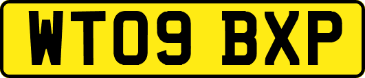 WT09BXP