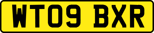WT09BXR