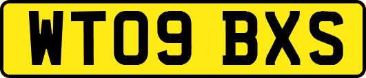 WT09BXS
