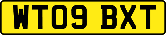 WT09BXT