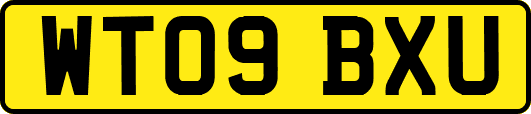 WT09BXU