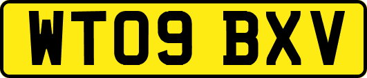 WT09BXV