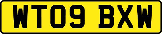 WT09BXW