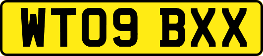 WT09BXX
