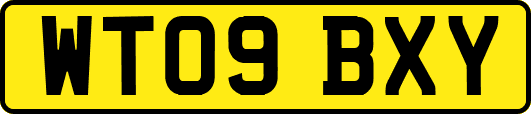 WT09BXY