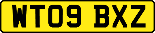 WT09BXZ