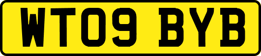 WT09BYB