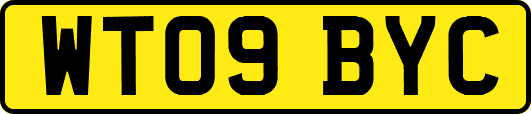 WT09BYC