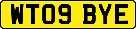 WT09BYE