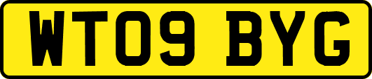 WT09BYG